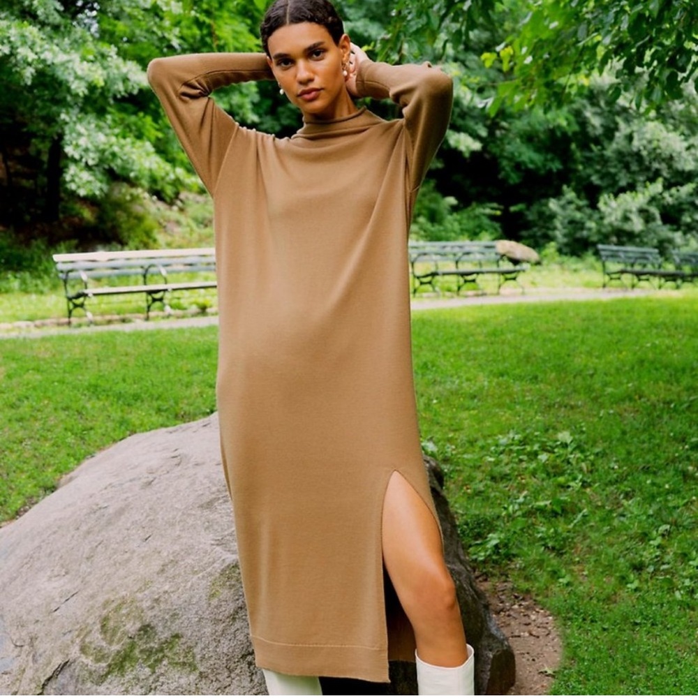 Aritzia knit Sweater Dress - Picture 1 of 10